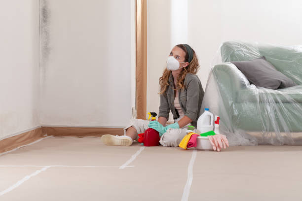 Reliable Bathroom Mold Removal contractor in Addison, IL by WQB Mold Removal
